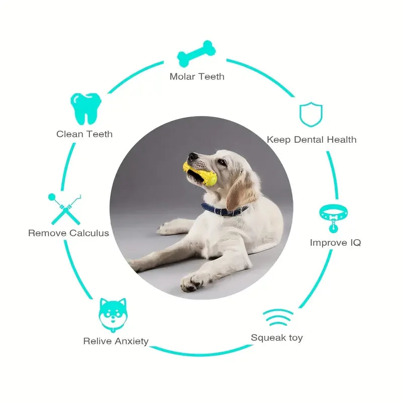 Dog Chew Toy for Teething & Dental Care