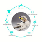 Dog Chew Toy for Teething & Dental Care