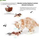 HappyPaws Chirping Bird Toy
