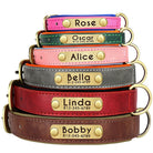 PawNook Luxury Engraved Dog Collar personalized leather collars stacked with names and contact information.