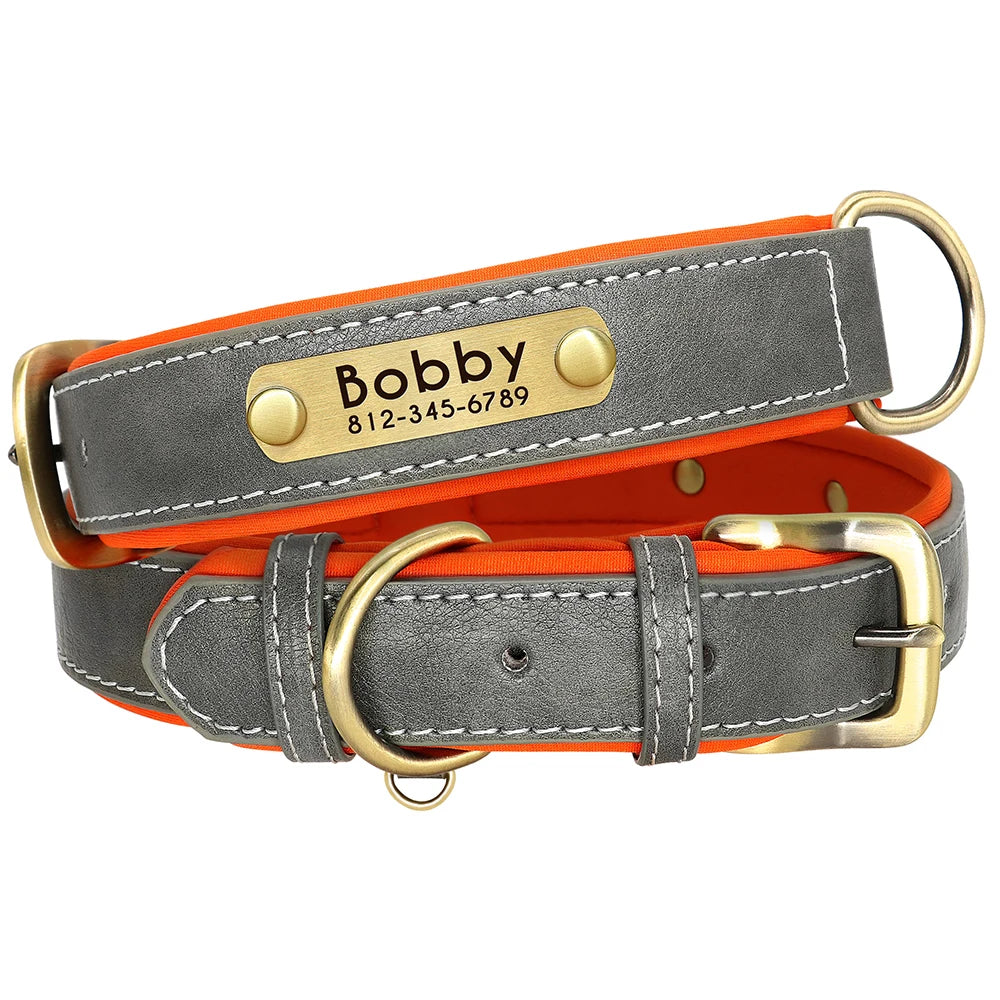 PawNook Luxury Engraved Dog Collar