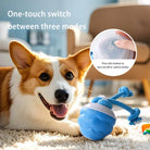 Dog Feedind Bowl