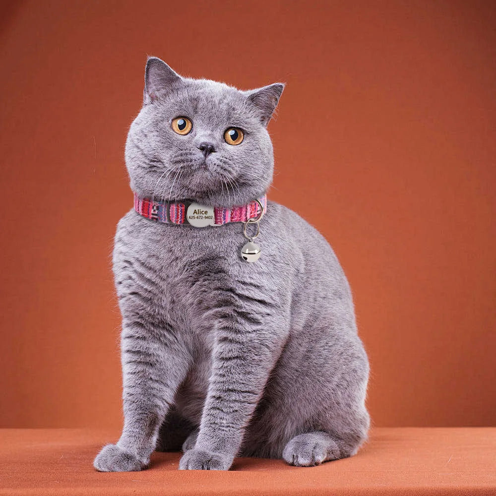 Personalized Engraved Cat Collar