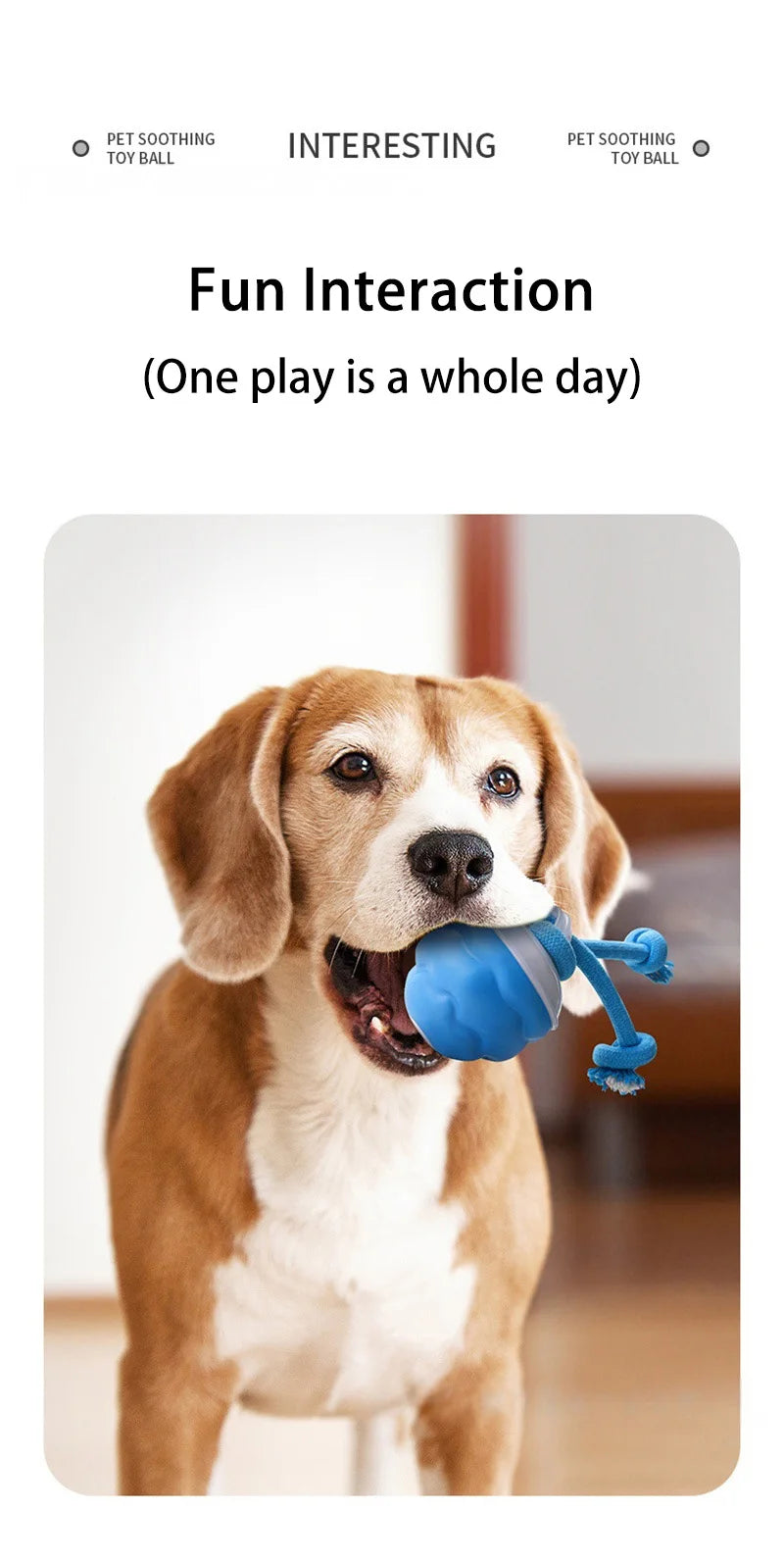Dog Feedind Bowl