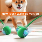 Interactive Dog Toy