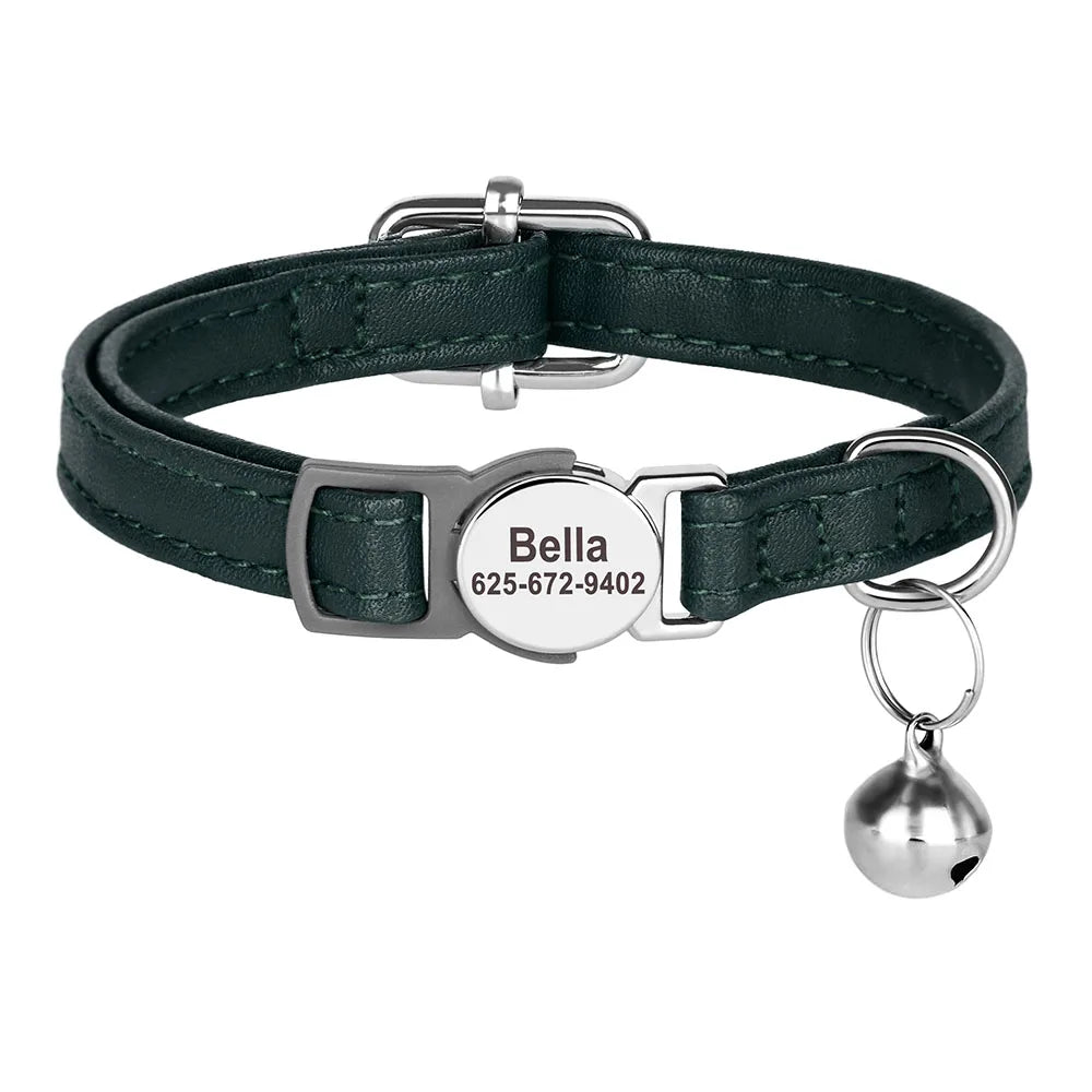 Personalized Engraved Cat Collar