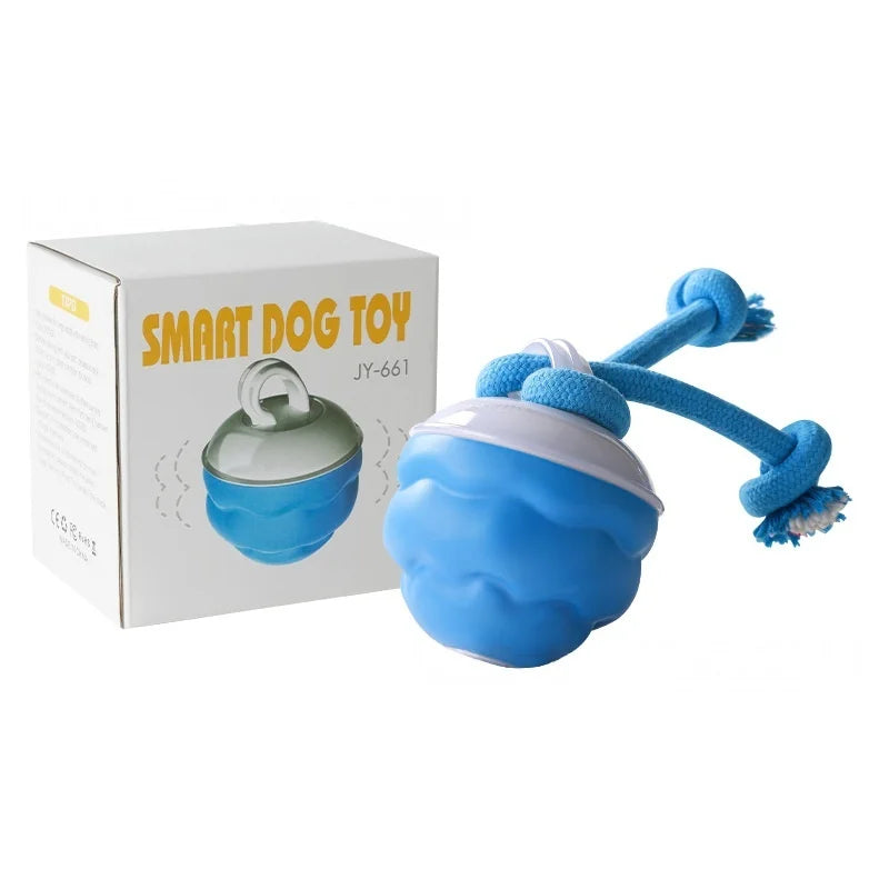 Dog Feedind Bowl