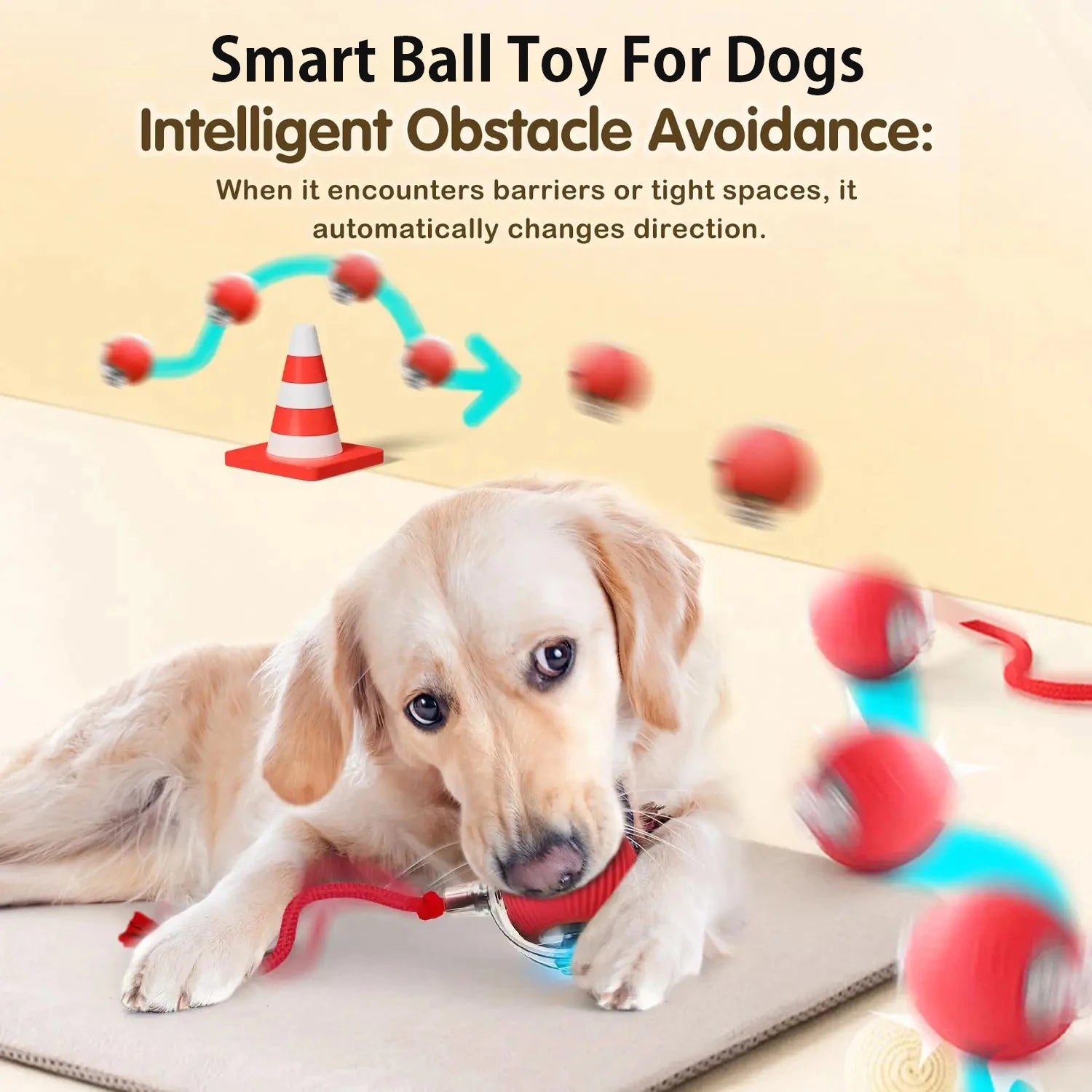 Interactive Dog Toy