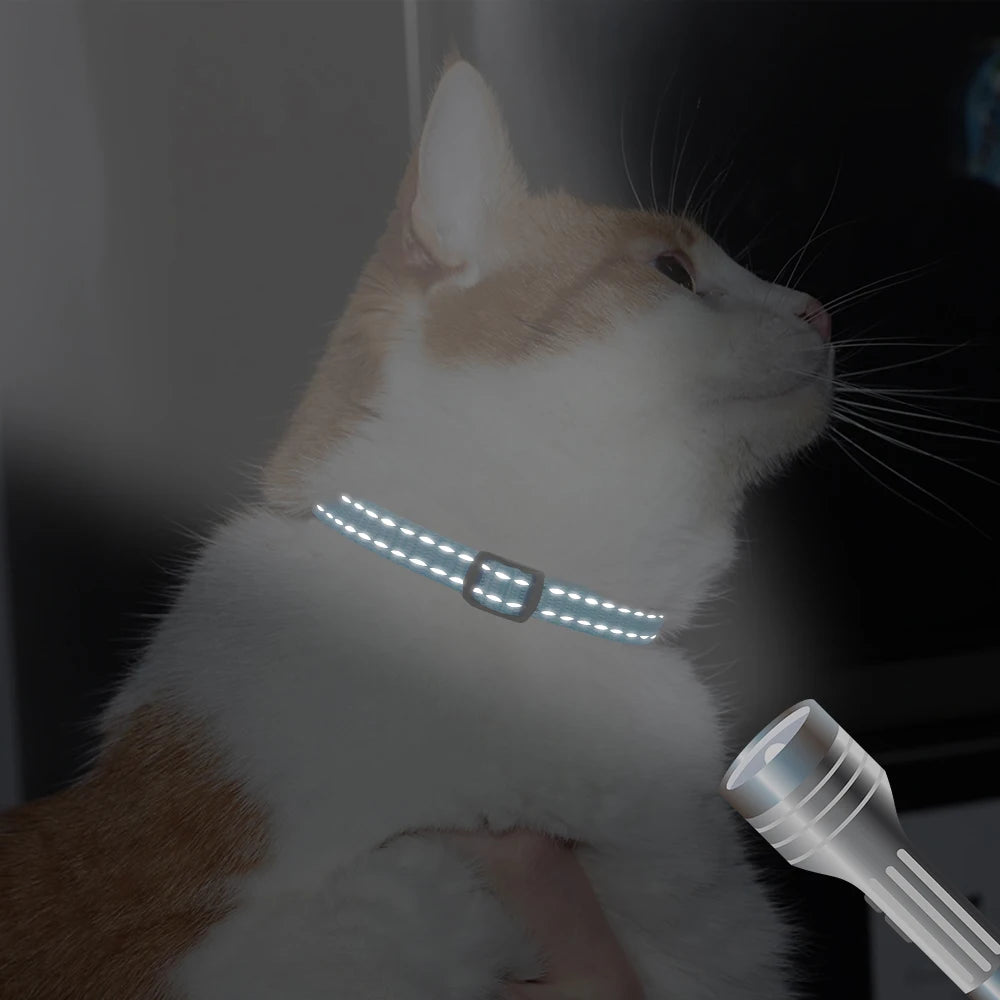 Personalized Engraved Cat Collar