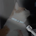Personalized Engraved Cat Collar