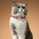 Personalized Engraved Cat Collar