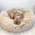 CloudNest Luxury Hanging Cat Hammock