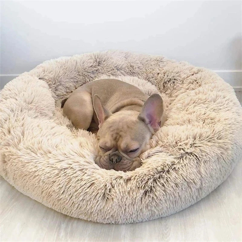 CloudNest Luxury Hanging Cat Hammock