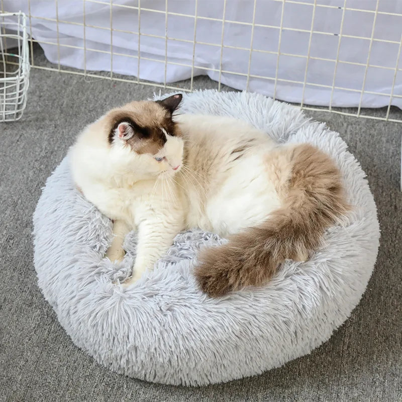 CloudNest Luxury Hanging Cat Hammock
