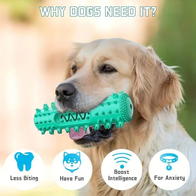 Dog Chew Toy for Teething & Dental Care