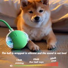 Interactive Dog Toy