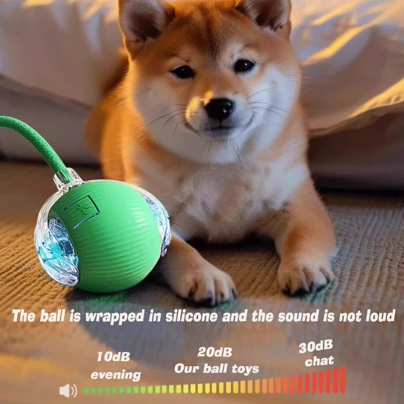 Interactive Dog Toy