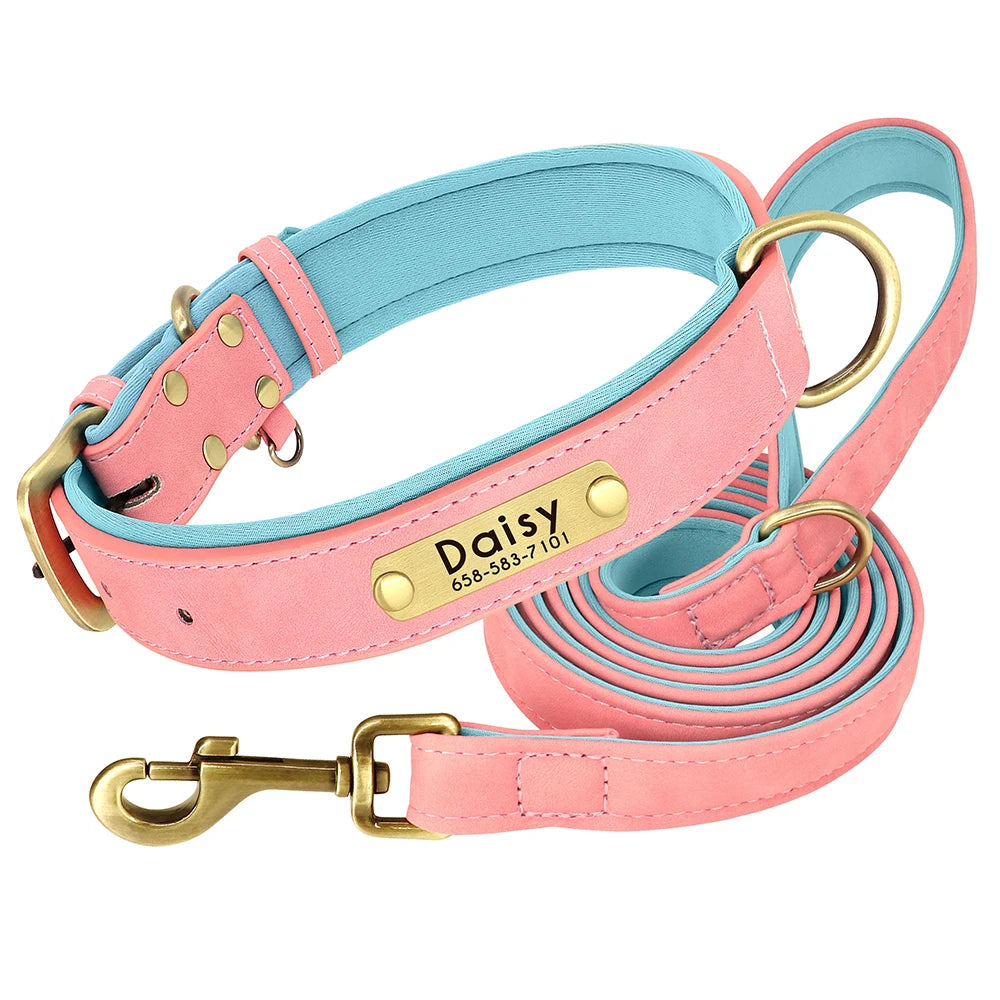 PawNook Luxury Engraved Dog Collar