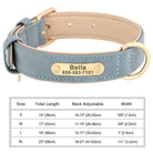 Personalized Engraved PU Leather Dog Collar
