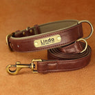 PawNook Luxury Engraved Dog Collar