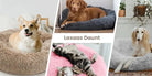 CloudNest Luxury Hanging Cat Hammock
