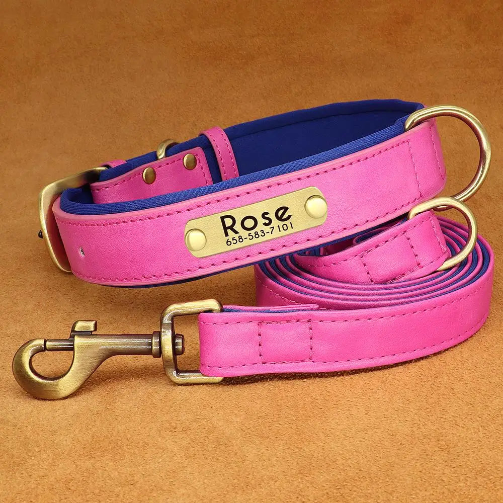 PawNook Luxury Engraved Dog Collar