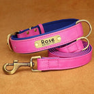 PawNook Luxury Engraved Dog Collar