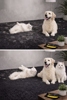 Reusable Pet Hair Remover Glove