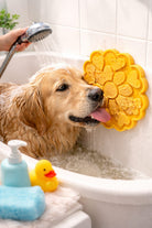 Slow Feeder for Dogs & Cats