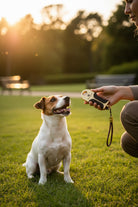 Pet Training Clicker Pro